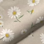 Daisy Floral Bloom